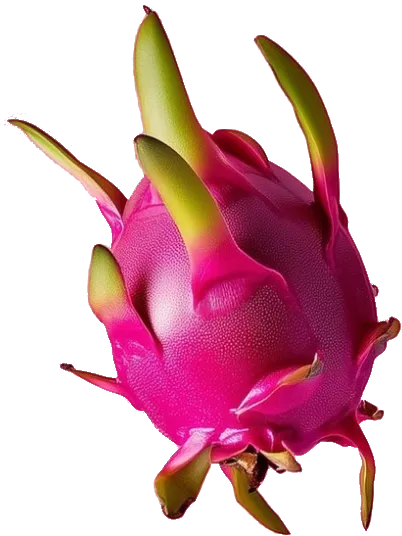 Un fruit du dragon