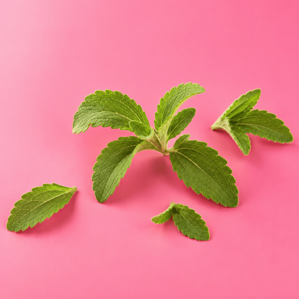 Feuilles de stevia sur fond rose